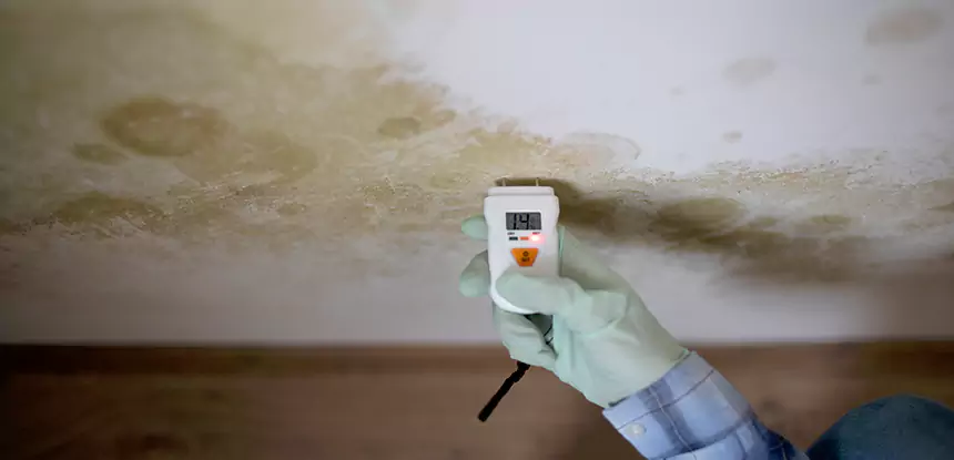 Emergency Mold Remediation in Villa Rica