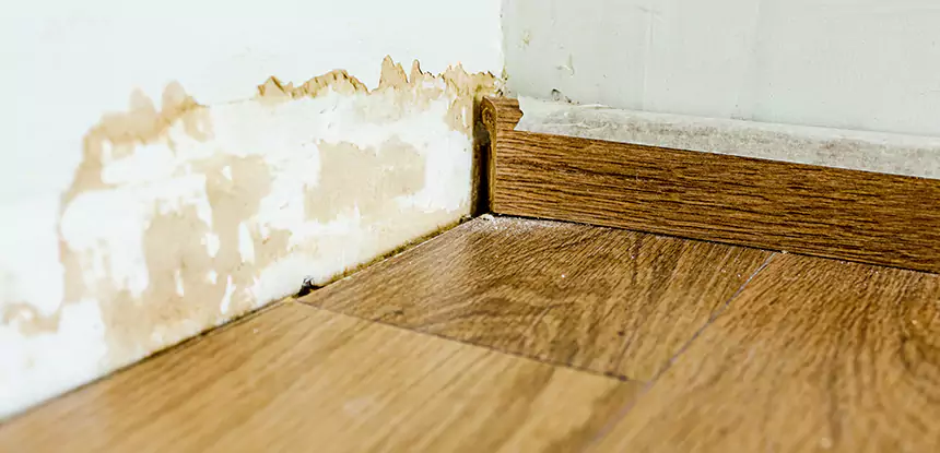 Professional Fix Water Damaged Wood Services in Villa Rica, GA