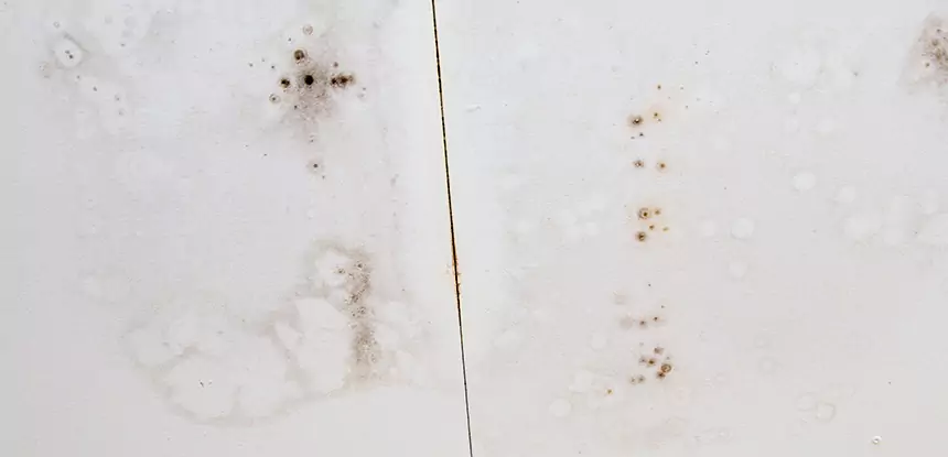 Professional Water Stain Repair Services in Villa Rica, GA