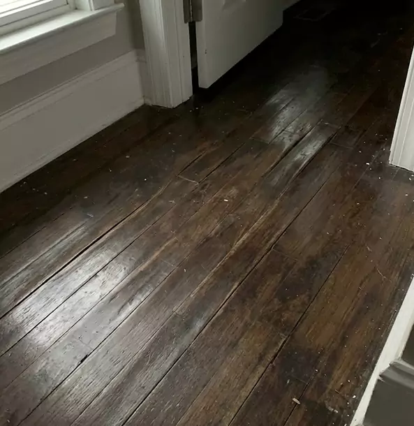 Why Villa Rica Homeowners Trust Villa Rica Restoration Pro to Fix Water Damaged Wood?