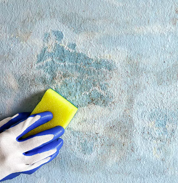 Why Villa Rica Restoration Pro Is the Right Choice in Villa Rica, GA?