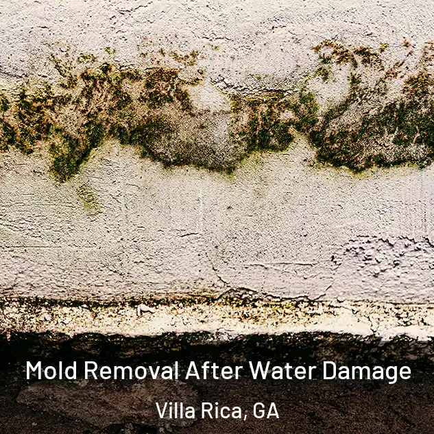  Mold Removal After Water Damage Villa Rica, GA